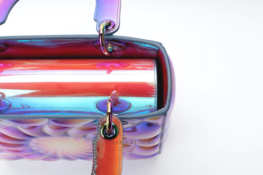 Dior Lady Dior-Art-Bag-Judy-CH-12