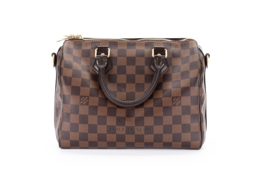 Louis-Vuitton-Speedy-25-Damier-Ebene-Canvas-3
