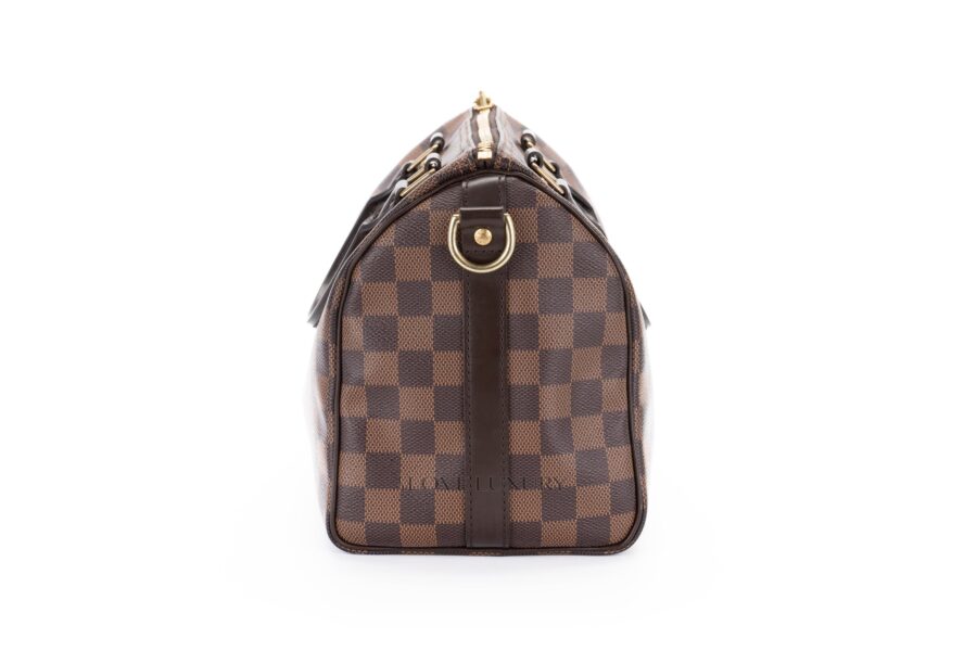 Louis-Vuitton-Speedy-25-Damier-Ebene-Canvas-5