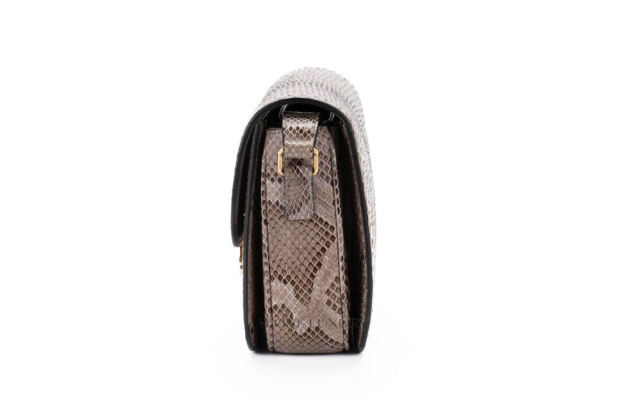 Celine-Triomphe-Python-Patchwork-Bag-4