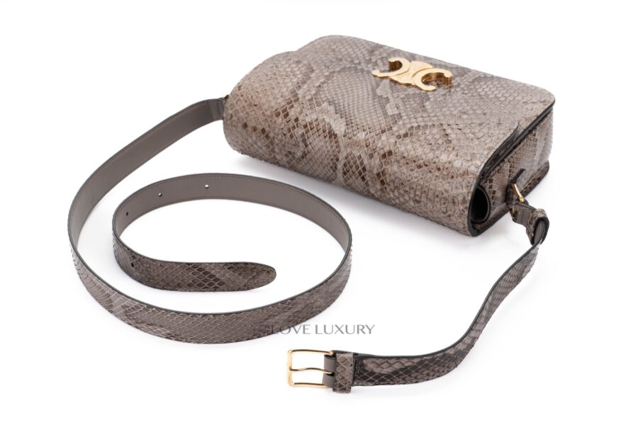 Celine-Triomphe-Python-Patchwork-Bag-8
