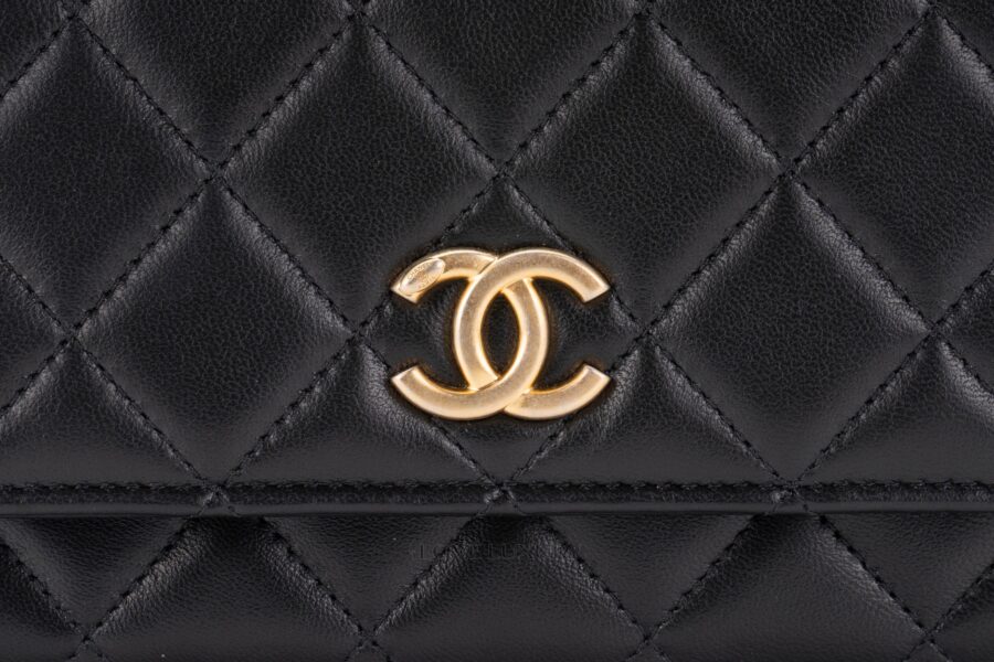 Chanel-Top-Handle-Wallet-On-Chain-Lambskin-Ghw-8