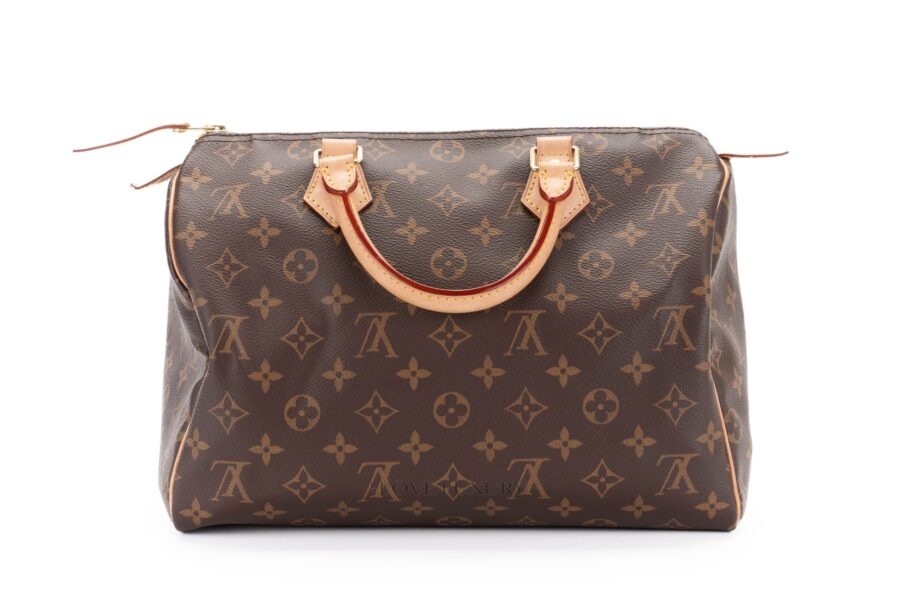Louis-Vuitton-Speedy-30-Monogram-Canvas-3