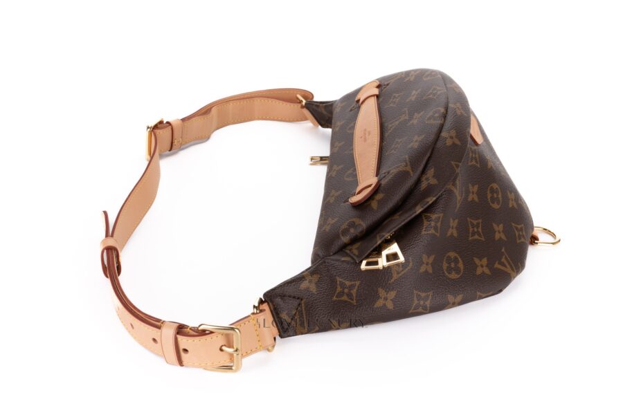 Louis-Vuitton-Bum-Bag-Monogram-Discontinued-4