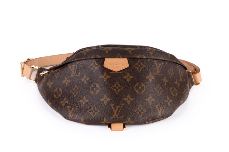 Louis-Vuitton-Bum-Bag-Monogram-Discontinued-6