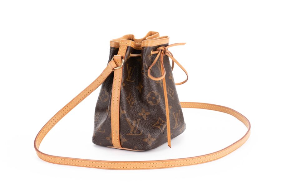 Louis-Vuitton-Monogram-Canvas-Nano-Noé-Bucket-Bag-3