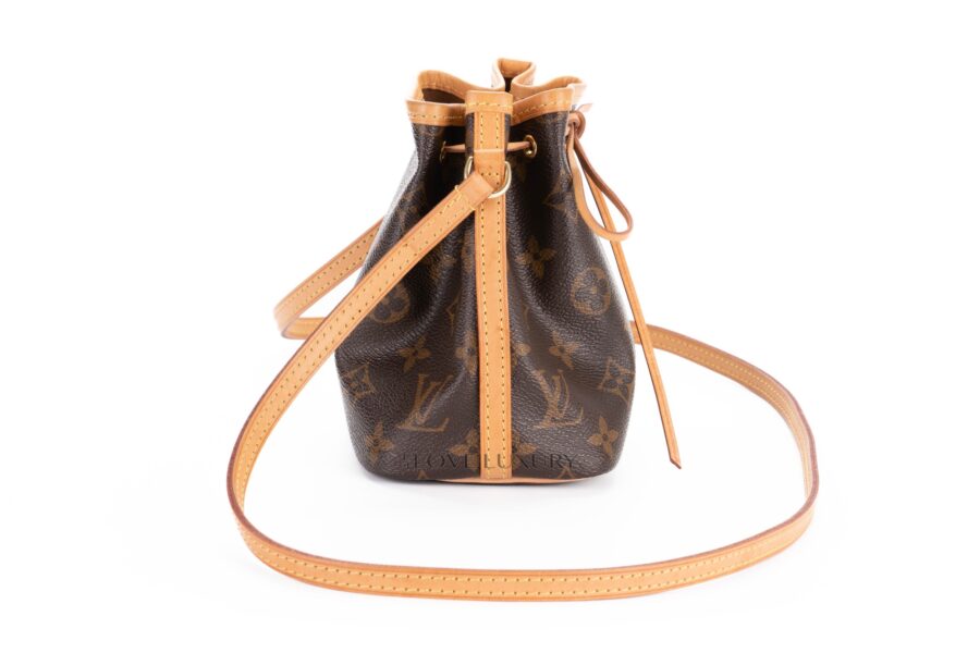 Louis-Vuitton-Monogram-Canvas-Nano-Noé-Bucket-Bag-6
