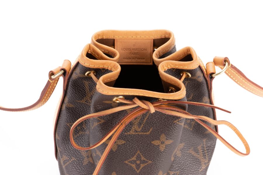 Louis-Vuitton-Monogram-Canvas-Nano-Noé-Bucket-Bag-8