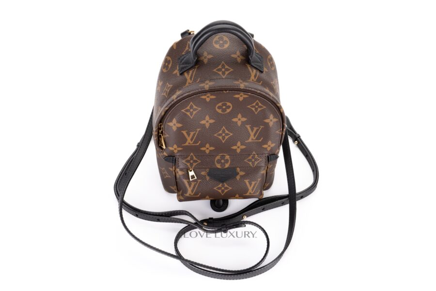 Louis-Vuitton-Palm-Springs-Mini-Backpack-Monogram-10