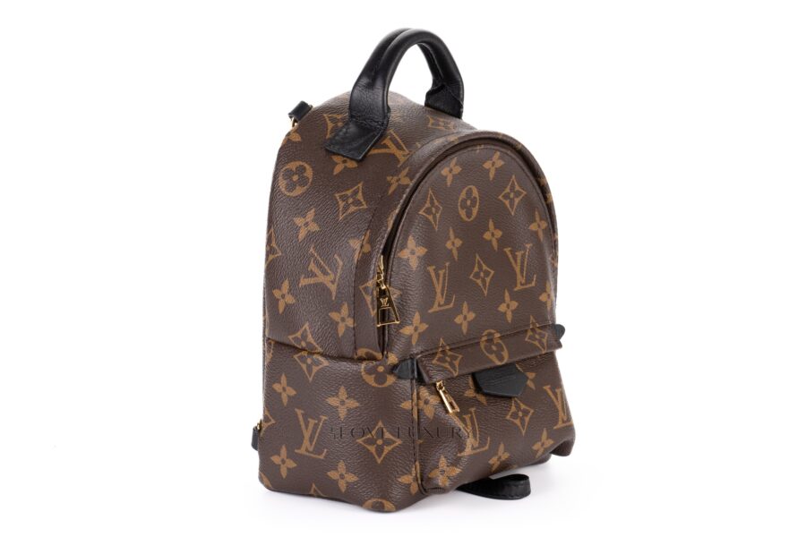 Louis-Vuitton-Palm-Springs-Mini-Backpack-Monogram-2