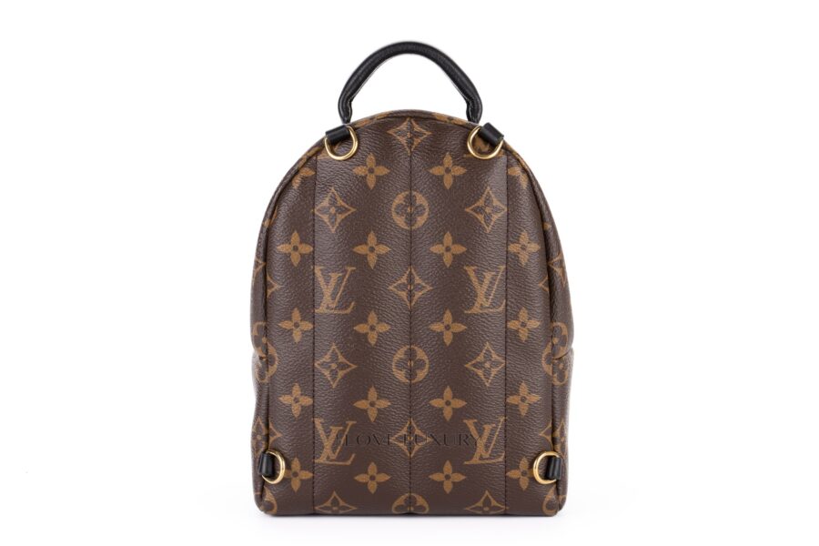 Louis-Vuitton-Palm-Springs-Mini-Backpack-Monogram-3