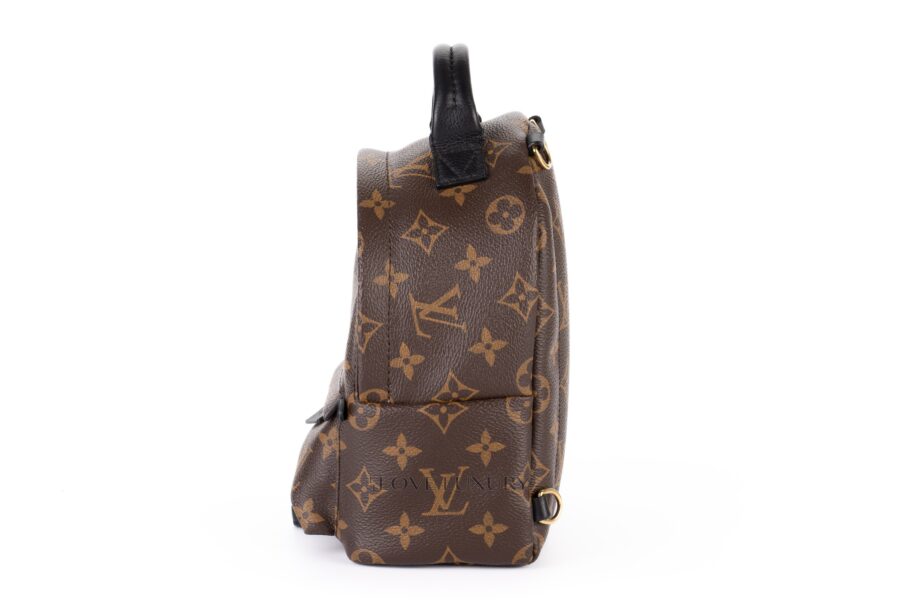 Louis-Vuitton-Palm-Springs-Mini-Backpack-Monogram-4