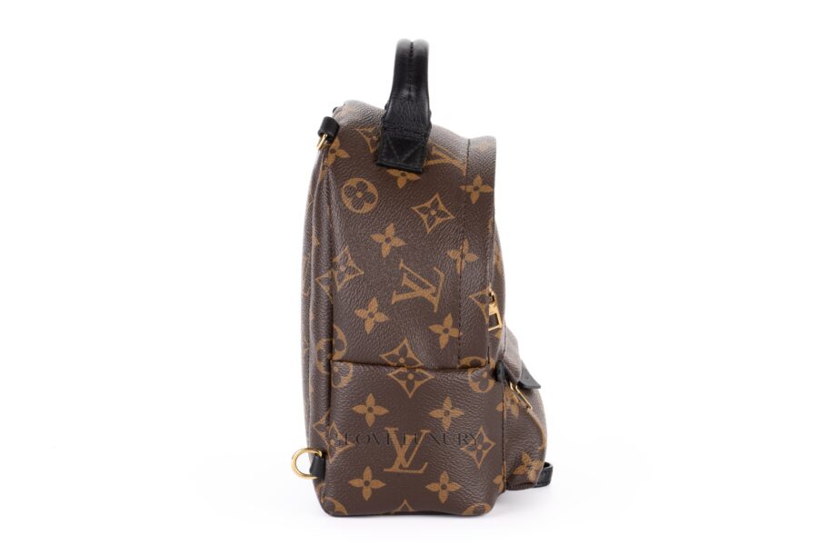 Louis-Vuitton-Palm-Springs-Mini-Backpack-Monogram-5