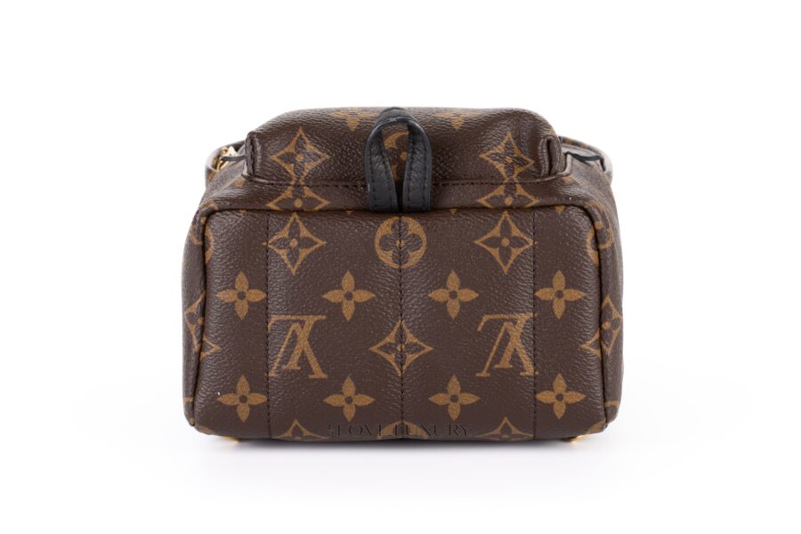 Louis-Vuitton-Palm-Springs-Mini-Backpack-Monogram-6