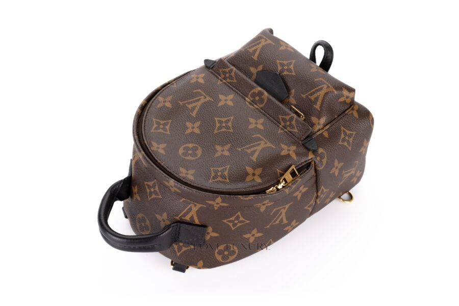 Louis-Vuitton-Palm-Springs-Mini-Backpack-Monogram-8