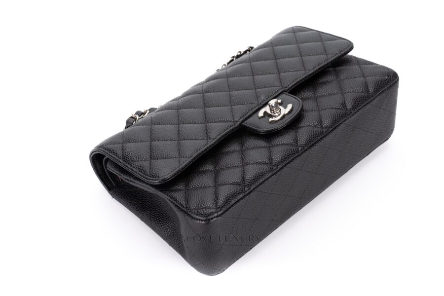 Chanel-Medium-Classic-Flap-Caviar-Black-Silver-Hardware-25-series-bag-only-12