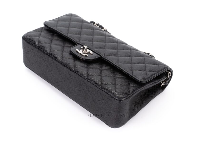 Chanel-Medium-Classic-Flap-Caviar-Black-Silver-Hardware-25-series-bag-only-13