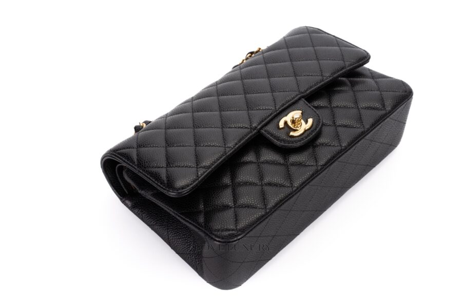 Chanel-Medium-Classic-Flap-Caviar-Gold-Hardware-30-series-12