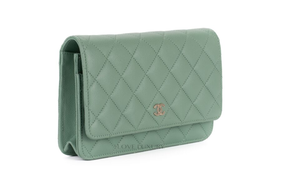 Chanel-Wallet-on-Chain-Mint-Green-2
