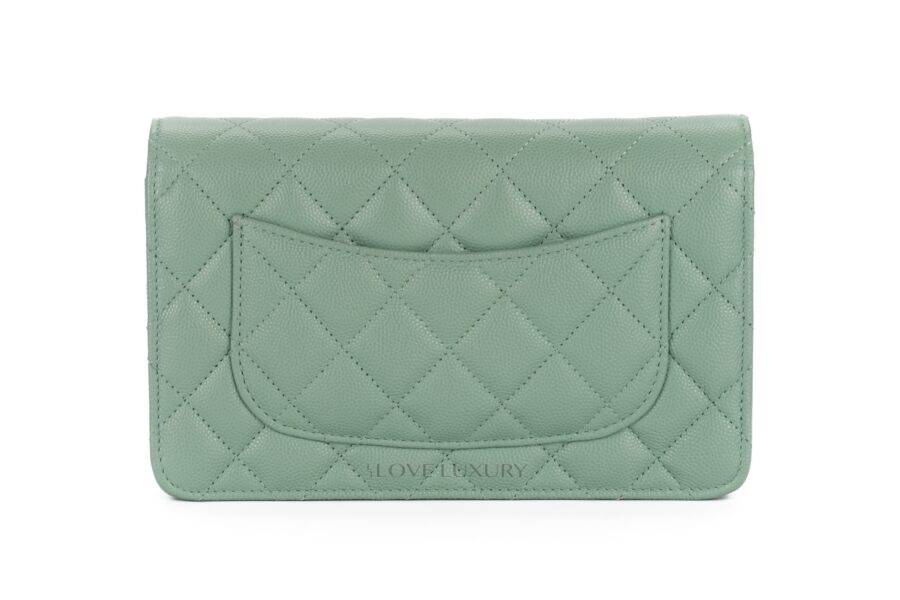 Chanel-Wallet-on-Chain-Mint-Green-3