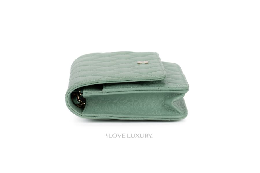 Chanel-Wallet-on-Chain-Mint-Green-5