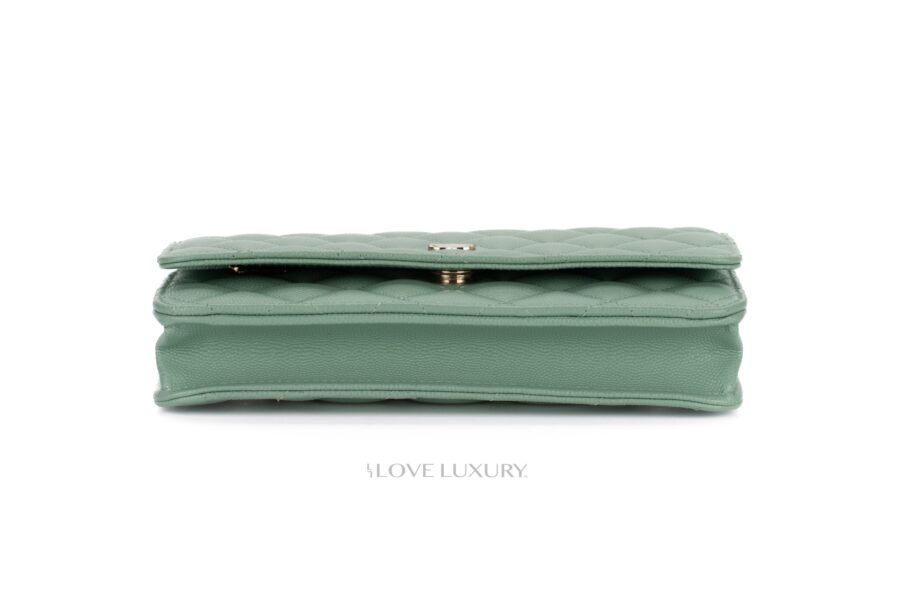 Chanel-Wallet-on-Chain-Mint-Green-6