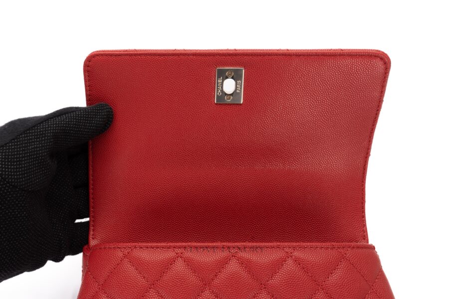 Chanel-Small-Coco-Handle-Red-Caviar-Champagne-Hardware-9