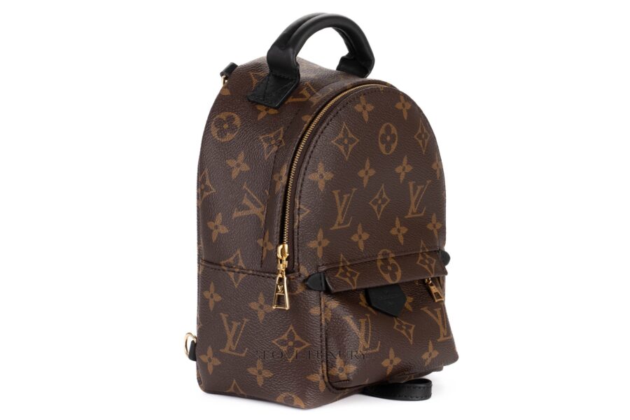 Louis-Vuitton-Palm-Springs-Mini-Backpack-Monogram-2